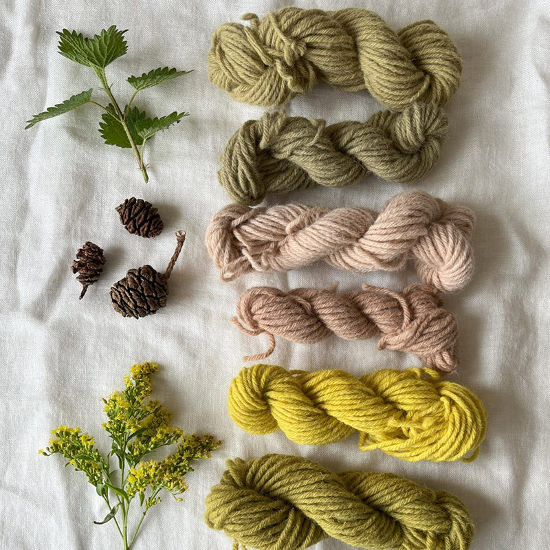 Plant Dyed